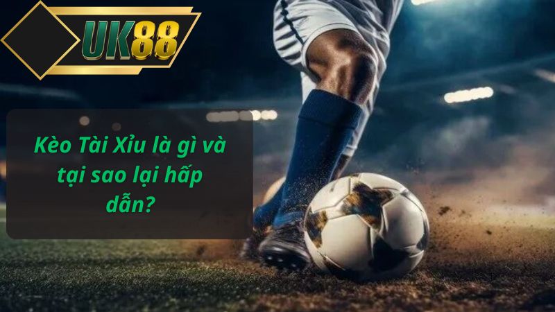 Kèo Tài Xỉu là gì và tại sao lại hấp dẫn?